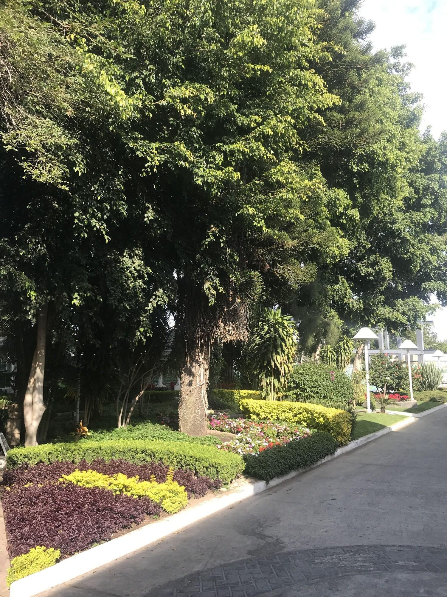 Hotel Ronda Minerva - Arborea Guadalajara Bagian luar foto